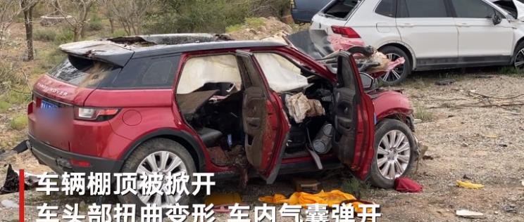  成功汽车,骆驼