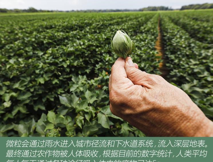 奥迪,奥迪A6L,奥迪Q5L,奥迪A4L,奥迪A5,奥迪Q3,奥迪A6,奥迪A8,奥迪A3,奥迪Q6,奥迪A7L,奥迪Q7,奥迪Q3 Sportback,奥迪R8,奥迪S4,奥迪A4(进口),奥迪Q8,奥迪A6L 插电混动,奥迪RS 7,奥迪Q2L,奥迪A7,北京,北京BJ40,北京F40,北京BJ30,北京BJ90,北京BJ80,北京BJ60
