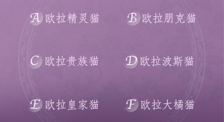  欧拉,欧拉好猫