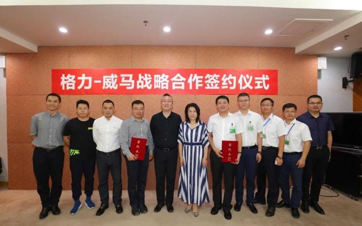  威马汽车,威马M7,威马EX5,威马E.5,威马W6
