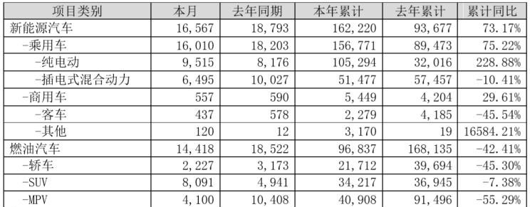 比亚迪,比亚迪e2