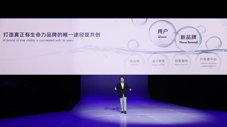  成功汽车,斑马,路虎,发现,大众,高尔夫
