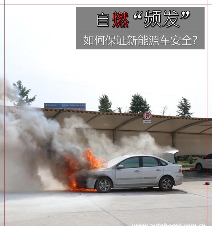  特斯拉,Model S,日产,轩逸,蔚来,蔚来ES8,宝马,宝马i3