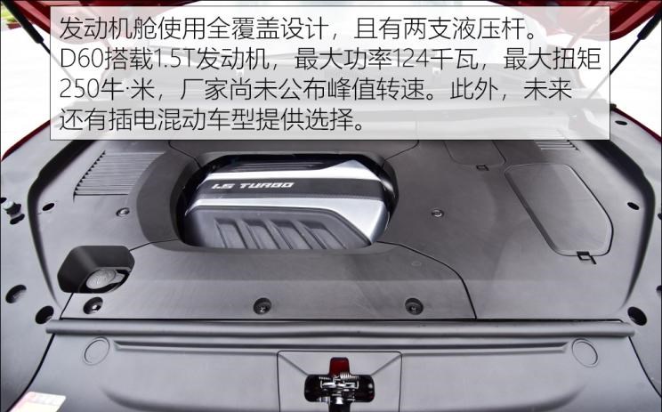  成功汽车,斑马
