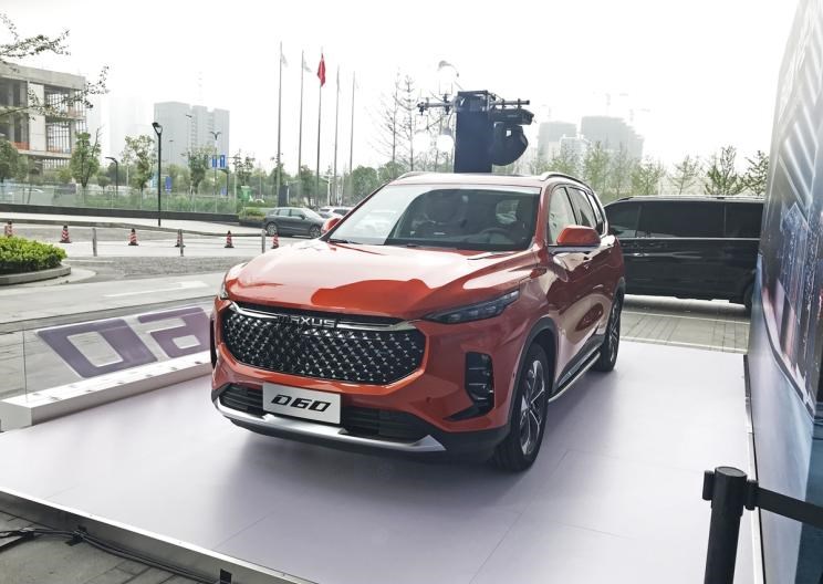  成功汽车,斑马