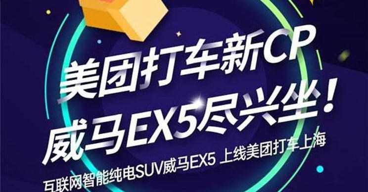  特斯拉,Model X,Model S,Model 3,Model Y,威马汽车,威马M7,威马EX5,威马E.5,威马W6