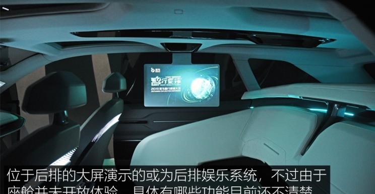  成功汽车,斑马