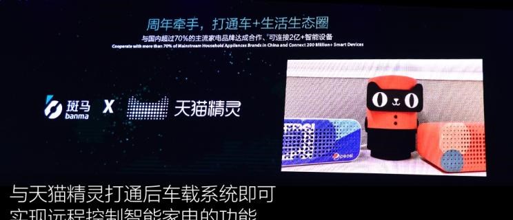  成功汽车,斑马