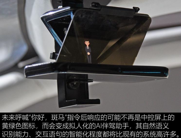  成功汽车,斑马