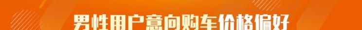  路虎,发现