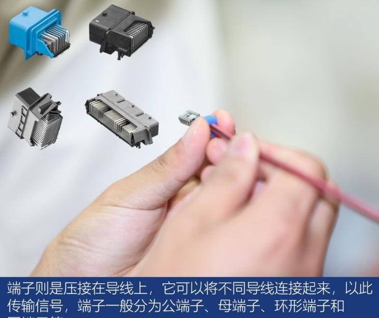  别克,世纪