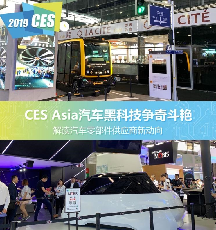  成功汽车,斑马