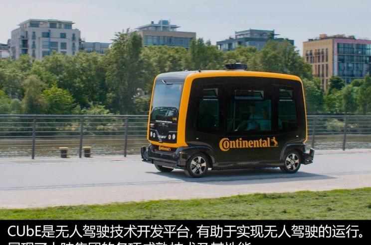  成功汽车,斑马