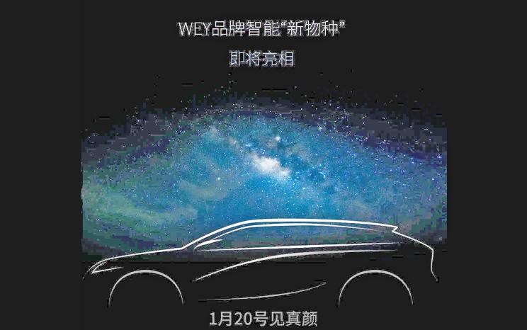  路虎,发现