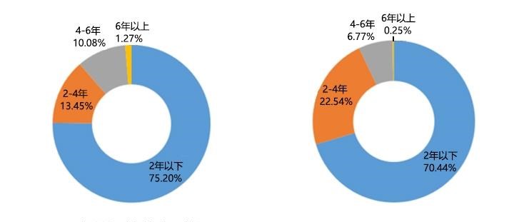  比亚迪,元新能源
