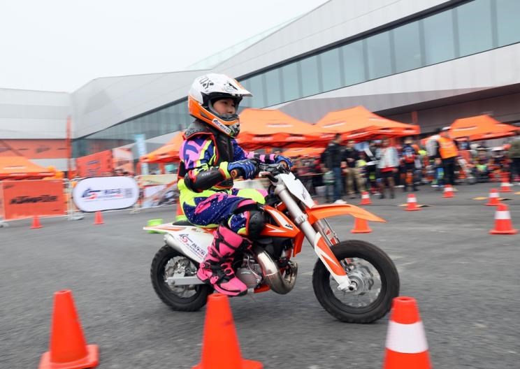  宝马,宝马5系,宝马6系GT,宝马X3(进口),宝马iX3,宝马X4,宝马Z4,宝马5系 插电混动,宝马X2,宝马X6,宝马X7,宝马i3,宝马4系,宝马5系(进口),宝马2系,宝马1系,宝马7系,宝马X3,宝马X5,宝马X1,宝马3系,北京,北京BJ40,北京F40,北京BJ30,北京BJ90,北京BJ80,北京BJ60,理念,广汽本田VE-1