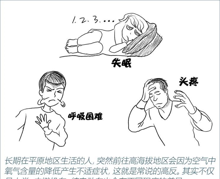  东风风行,风行T5,风行T5 EVO