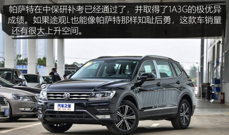  特斯拉,Model 3,长城,炮