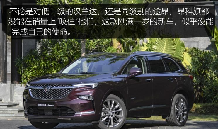  特斯拉,Model 3,长城,炮