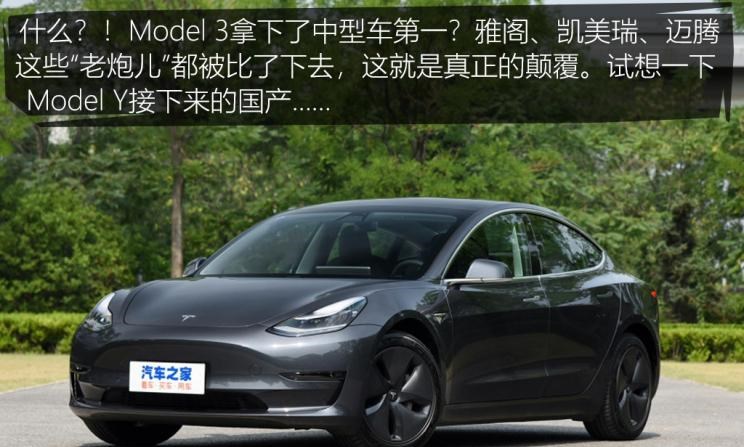  特斯拉,Model 3,长城,炮