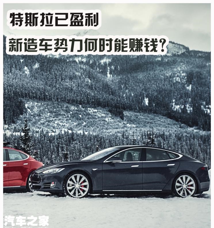  特斯拉,Model 3,Model X,Model S,SRM鑫源,好运,天际汽车,天际ME7,路虎,发现,蔚来,蔚来ES8