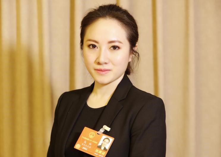  比亚迪,汉