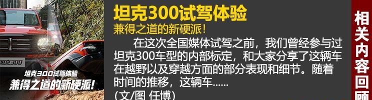  坦克,坦克300