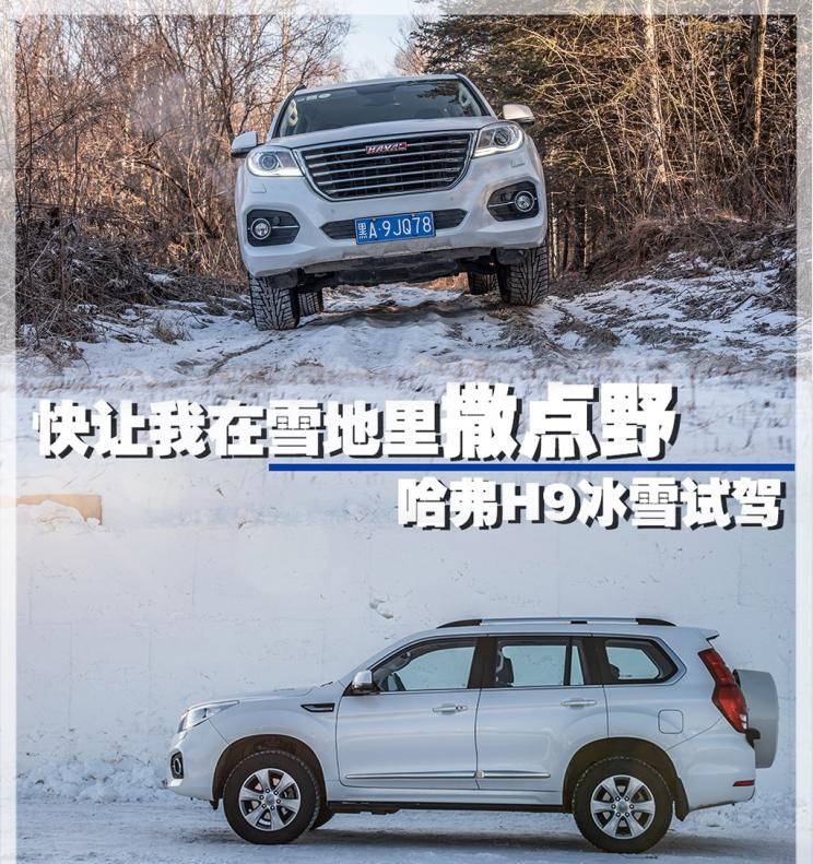  路虎,发现,哈弗,哈弗H9