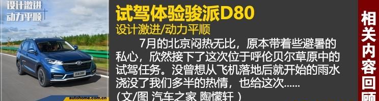 魏牌,摩卡