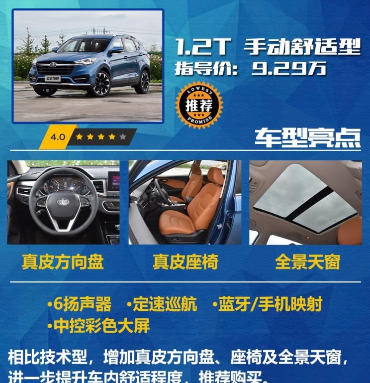  魏牌,摩卡