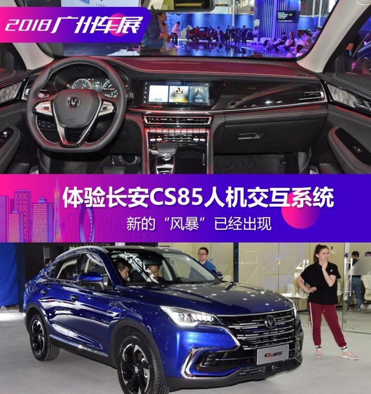  成功汽车,斑马