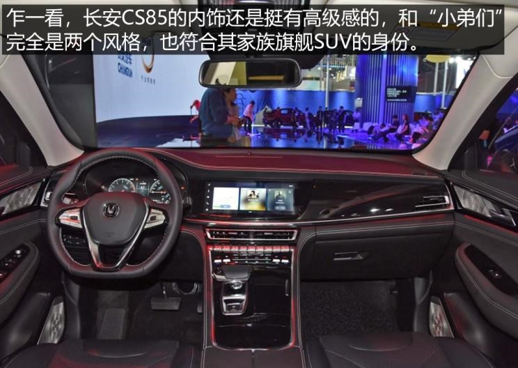  成功汽车,斑马