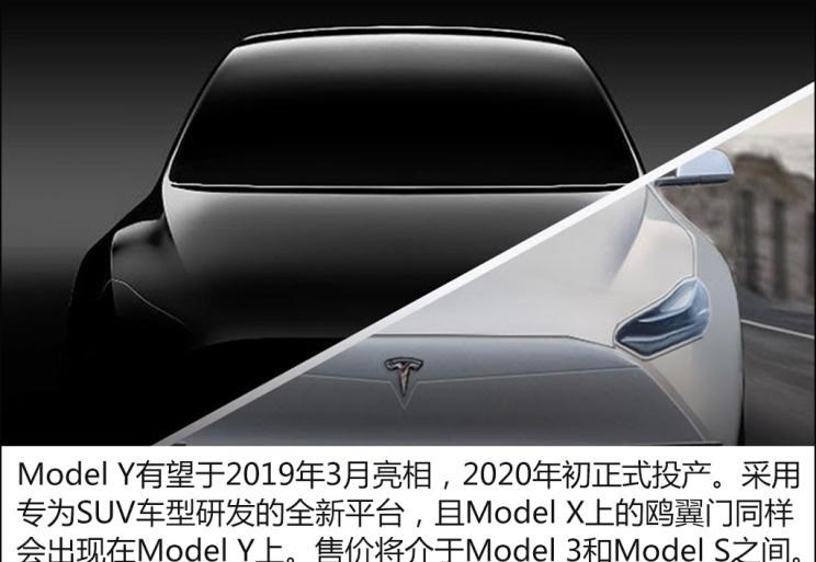  特斯拉,Model Y,Model 3,Model X,Model S,丰田,凯美瑞,本田,思域,卡罗拉,雅阁