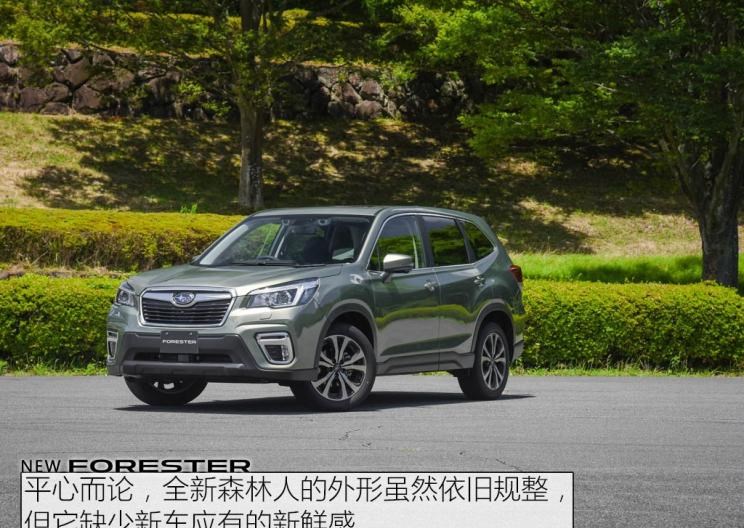  本田,本田CR-V,奔驰,奔驰G级,Jeep,牧马人,丰田,RAV4荣放,斯巴鲁,森林人