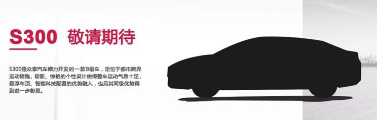  众泰,众泰T300 EV,众泰T300
