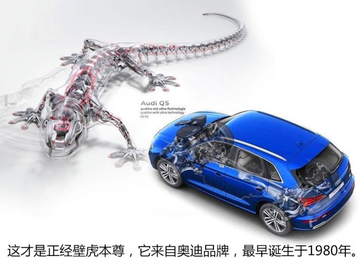  奥迪,奥迪Q5L