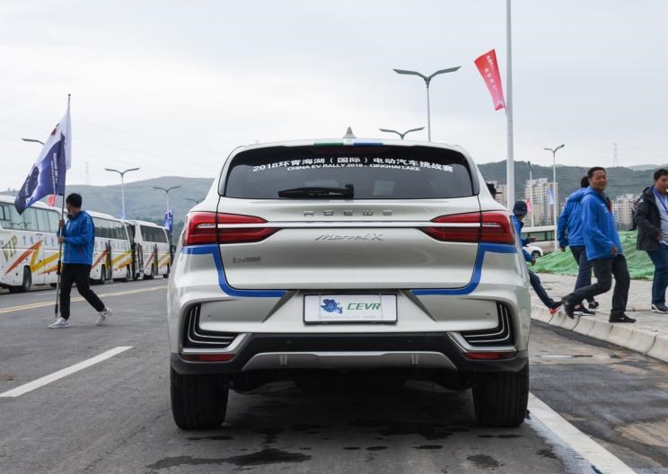  成功汽车,斑马