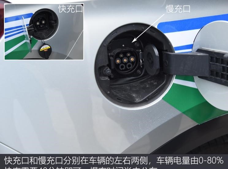  成功汽车,斑马