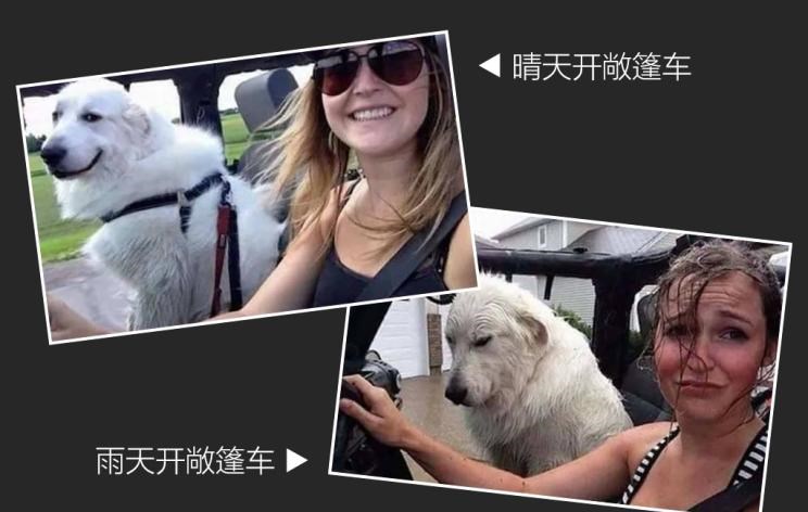  斯柯达,速派