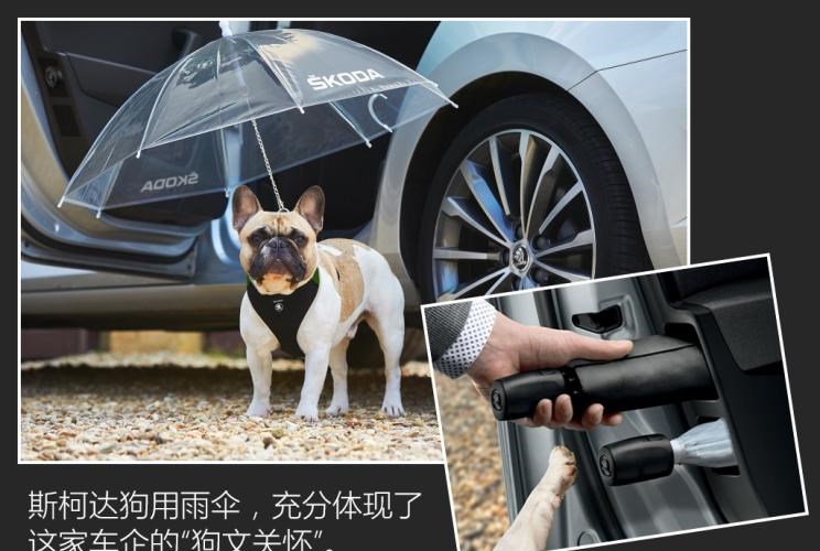  斯柯达,速派