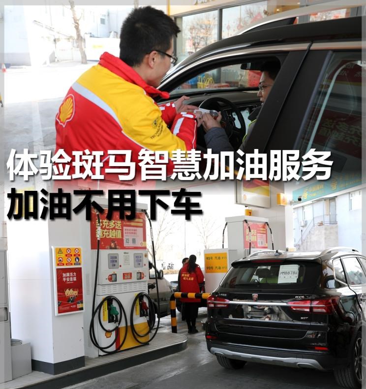  成功汽车,斑马