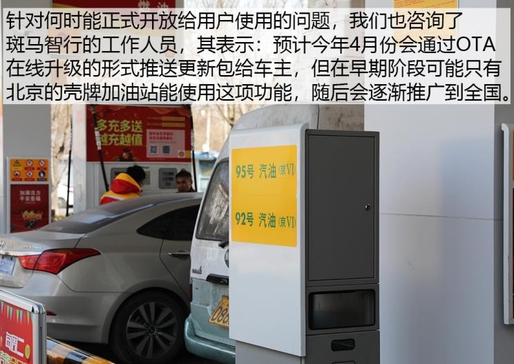  成功汽车,斑马