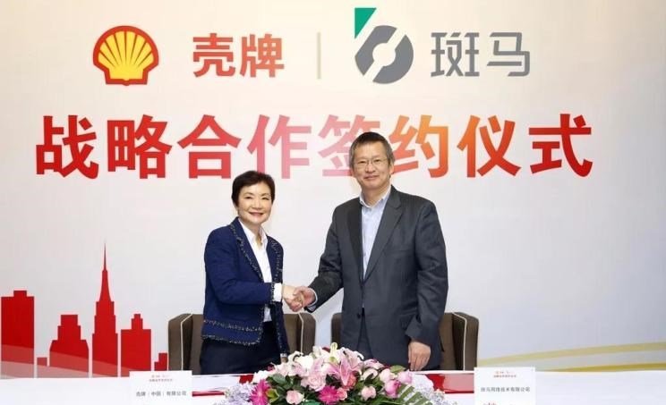  成功汽车,斑马