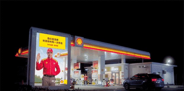  成功汽车,斑马