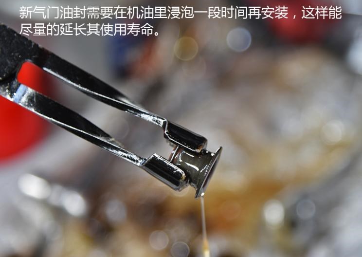  路虎,发现