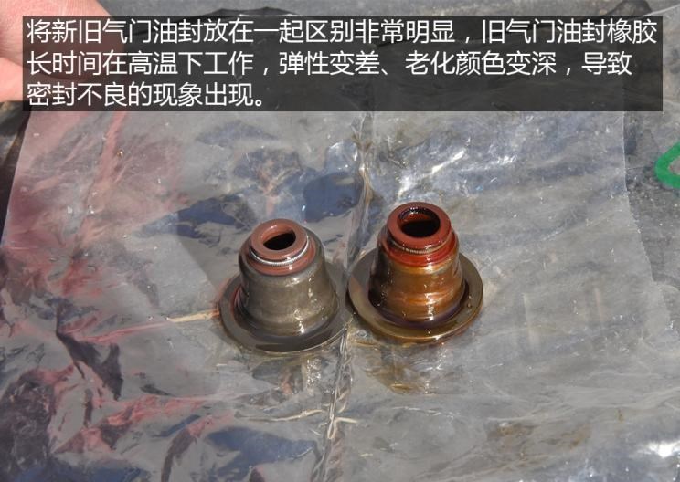  路虎,发现