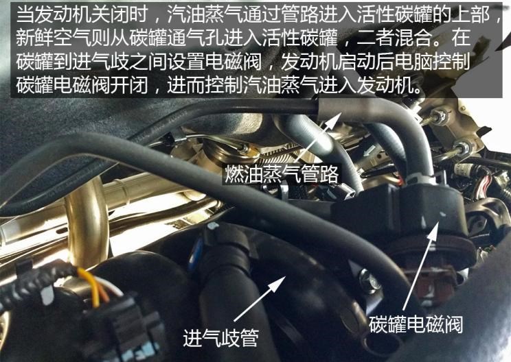  路虎,发现,福特,福克斯