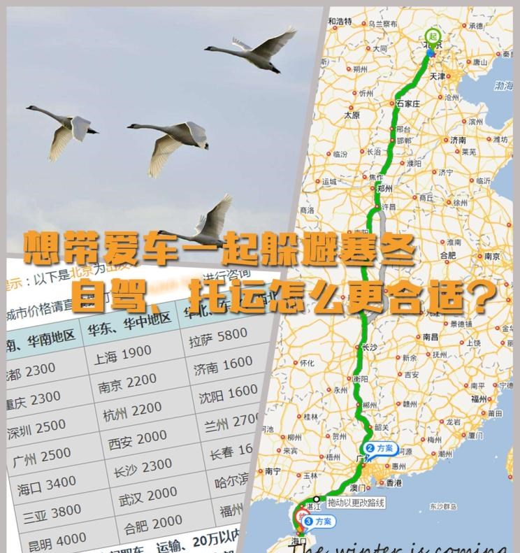  大众,朗逸,帕萨特,宝马,宝马3系