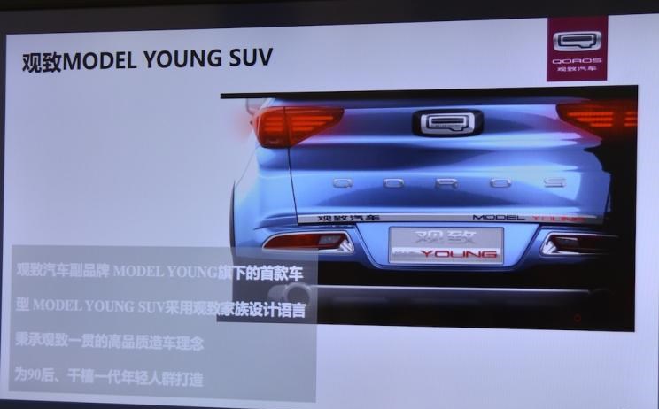  特斯拉,Model Y