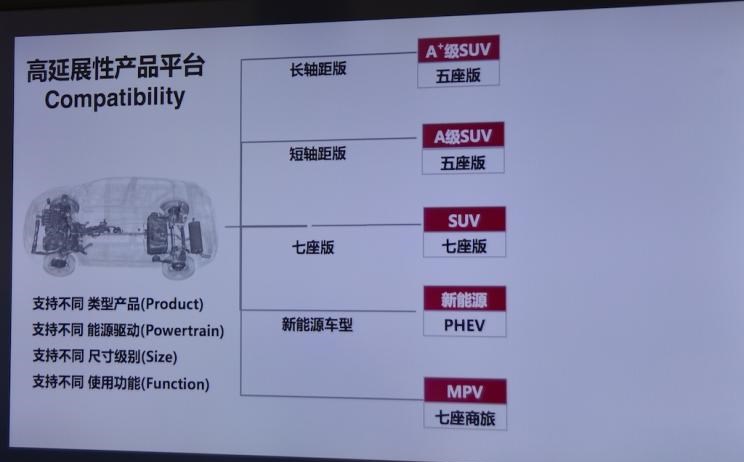  特斯拉,Model Y